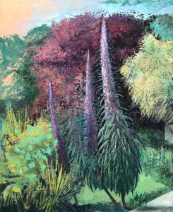 Three Echiums, 2022-23 (olja på pannå)