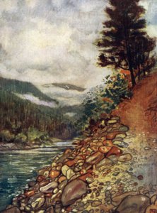 Norge: Flod vid Gjora (färg litho) av Nico Jungman