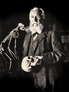 Porträtt av Ernst Haeckel bredvid skelettet av en apa, ca 1860 (foto)