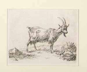 6 etsningar från av Nicolaes Berchem