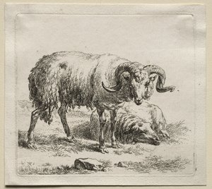 Animalia: bagge och får av Nicolaes Berchem