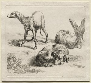 Animalia: Tre jakthundar