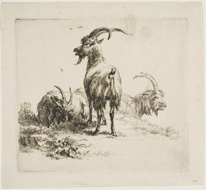 Getter, från olika djur av Nicolaes Berchem