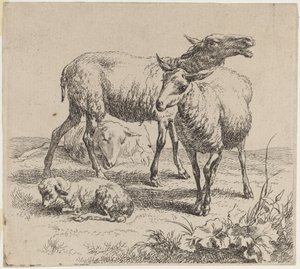 Tre får och ett lamm. av Nicolaes Berchem
