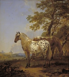 Två hästar i ett landskap av Nicolaes Berchem