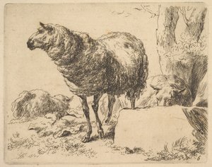 från The Set of Sheep. av Nicolaes Berchem