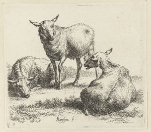 Torka fåren Schapen (serietitel) Djur dragna till liv och tryckta med vatten för stark luft av Studio and Art of Nicolai Berchem (serietitel) av Nicolaes Pietersz Berchem