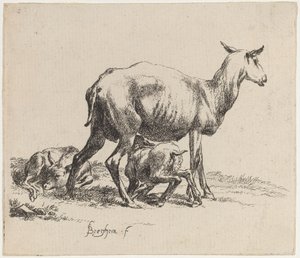 Tackan som ammar sitt lamm av Nicolaes Pietersz Berchem