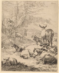 Vilande flock