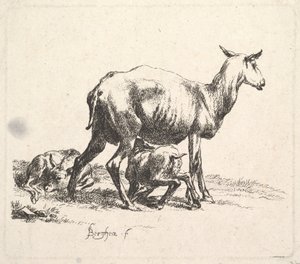 Får med lammvård. av Nicolaes Pietersz. Berchem