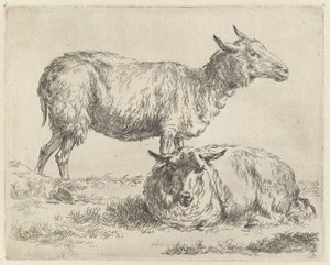 Staand en liggend schaap Schapen (serietitel) Djur som dras till liv och trycks i vatten av stark luft av Studio and Art of Nicolai Berchem (serietitel) av Nicolaes Pietersz Berchem
