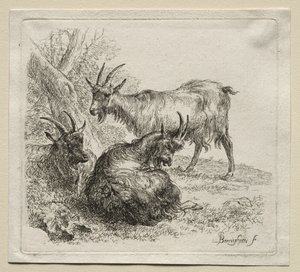 Tre getter. av Nicolaes Pietersz. Berchem