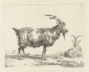 Två getter Geiten (serietitel) Djur som dras till liv och trycks i vatten av stark luft av Studio and Art of Nicolai Berchem (serietitel)