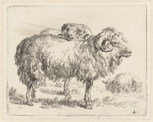 Twee rammen en een schaap Schapen (serietitel) Djur som dras till liv och trycks i vatten av stark luft av Studio and Art of Nicolai Berchem (serietitel)