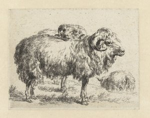 Twee rammen en een schaap Schapen (serietitel) Djur som dras till liv och trycks i vatten av stark luft av Studio and Art of Nicolai Berchem (serietitel) av Nicolaes Pietersz Berchem