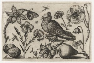 Blommor, ett päron och en duva Fåglar, blommor, insekter etc. (serietitel)