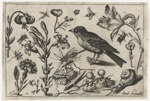 Blommor, en snigel och en fågel Fåglar, blommor, insekter etc. (serietitel)