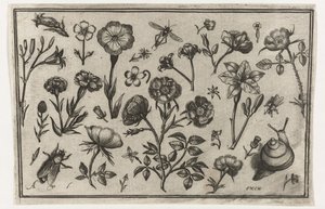 Blommor, en fluga och en snigel Fåglar, blommor, insekter etc. (serietitel)