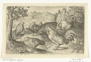 Tre höns och två tuppar Fåglar och insekter (serietitel) av Nicolaes de Bruyn