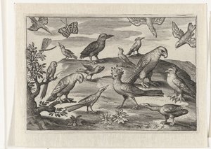 ヤツガシラと他の鳥 鳥と昆虫（連載タイトル）スウェーデン語 av Nicolaes de Bruyn