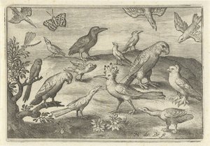 Humle och andra fåglar Fåglar och insekter (serietitel) av Nicolaes de Bruyn