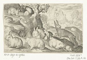 Kaniner, ekorre, marsvin och mus Animalivm qvadrvpedvm (serietitel) Djur i landskap (serietitel) av Nicolaes de Bruyn