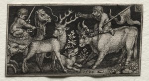 Apor som rider på en kamel och en tjur