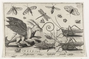 Gräshoppor och fantasiväsen med vingar och simhudsfötter Fåglar och insekter (serietitel) av Nicolaes de Bruyn