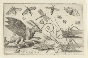 Gräshoppor och fantasiväsen med vingar och simhudsfötter Fåglar och insekter (serietitel) av Nicolaes de Bruyn
