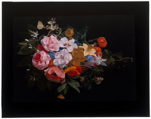 En festong av rosor, kaprifol, liljor, narcissi, ringblomma, en ormhuvudfritillary