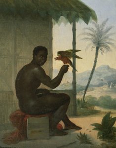 Brasiliansk svart med Tropical Bird