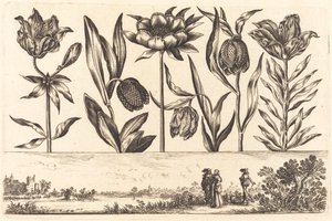 Blomstertryck nr.11