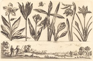 Blomstertryck nr.4