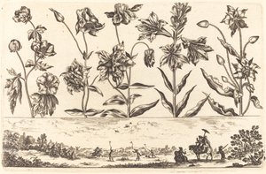 Blomstertryck nr.6