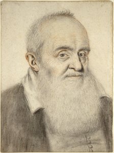 Head of a Bearded Man (färgade kritor på papper)