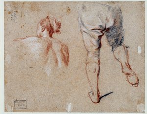 Studie av anatomi Oljeteckning av Nicolas Vleughels (1668-1737) 1700-talets Paris, Louvren