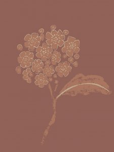 Jordnära botanisk blomning