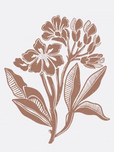 Rustik blomsterillustration av Nikita Jariwala