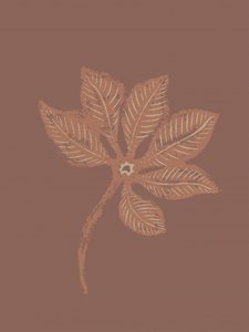 Texturerat botaniskt blad av Nikita Jariwala