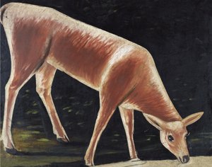 Rådjur som dricker av Niko Pirosmani