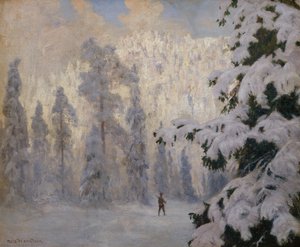 Jägareskidåkning i vinterlandskap