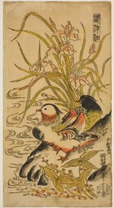 Mandarin Ducks, från serien "Kashinsai"
