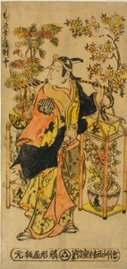 Peddler of Flowers of the Four Seasons - A Set of Three (Shiki no hanauri sanpukutsui)
