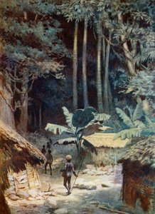 I djupet av en melanesisk skog, 1908 av Norman Hardy