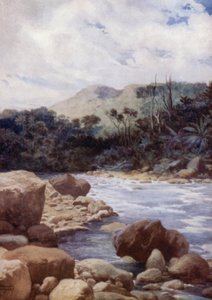 The Rapids, Williams River, Island of Eromanga, Nya Hebriderna (färg litho) av Norman Hardy