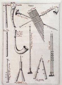 Blåsinstrument Sida från "The Three Types of Musical Instruments" verk om gamla instrument av Francesco Bianchini