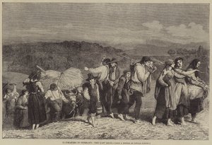 Höslagning i Tyskland, den sista lasten av O.A. Sickert