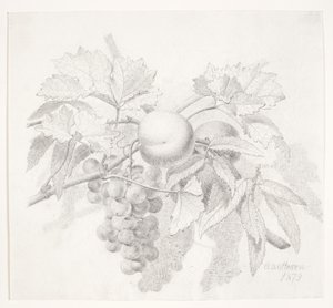 Vindruvor och persikor