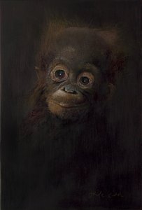 Baby orangutang 1, 2009 (akryl på trä)