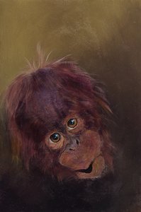Baby orangutang 2, 2010 (akryl på trä) av Odile Kidd